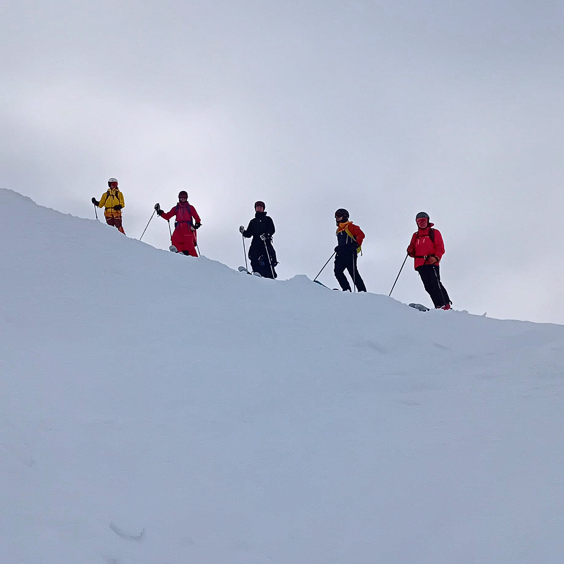 Five skiers holding poles stand along a snowy ridge beneath a pale sky